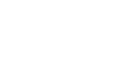 Interaction Guidelines